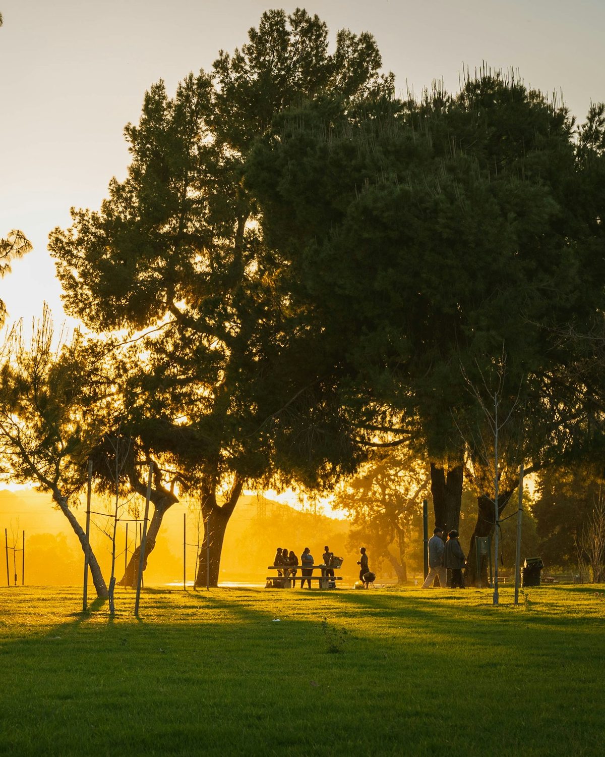 Friends gathered around a picnic table in a park at golden hour